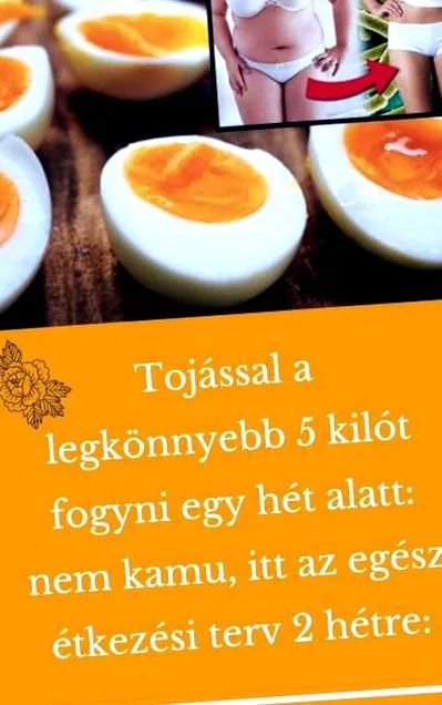 мазнини