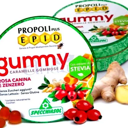 шипка шипка