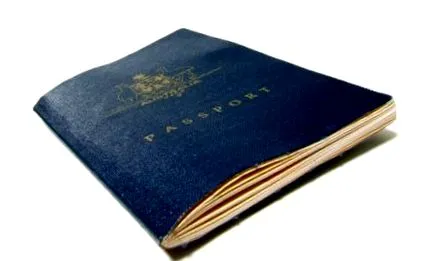 мікрочіп мікрочіп