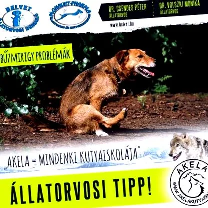 можуть журнал