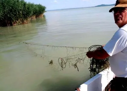 нетна lake