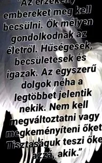 sloganuri