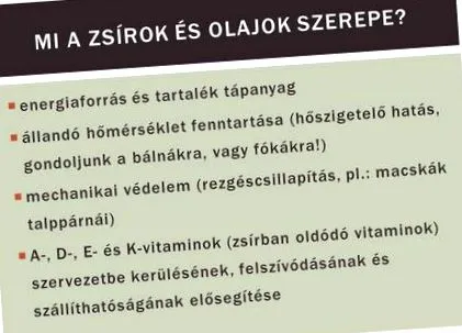топлоизолация около