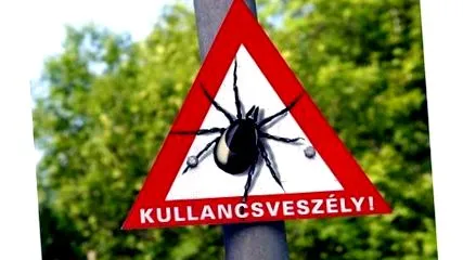 кърлежи почивка