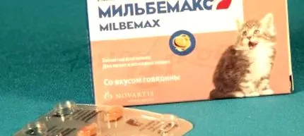 червеи кърмещи