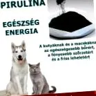 ganodermashop спіруліна
