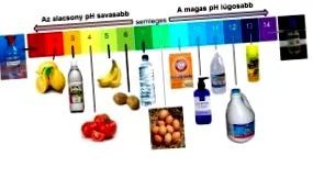 киселинните йони анита