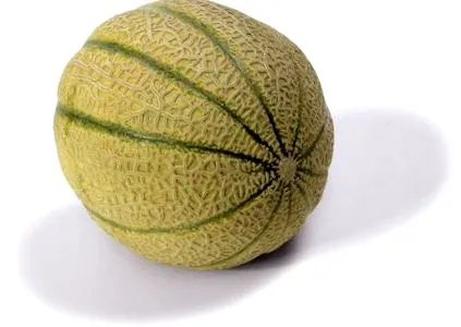 lédig cantalup