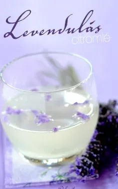 лимонов лимонов