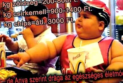 евтин paleovital