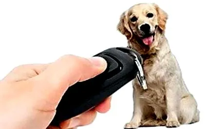 hellodog-webshop кликване