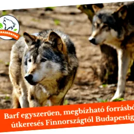 меню чому