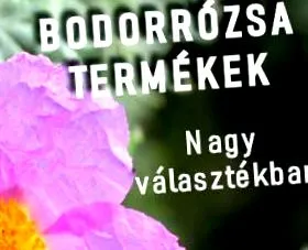 чому собі