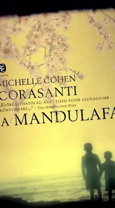 corasanti michelle