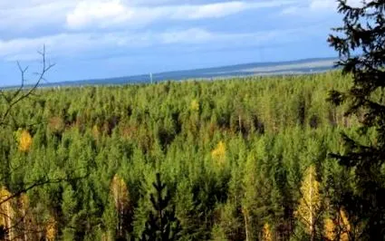 кога лапландия