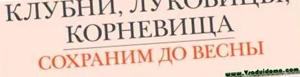 могилев токсичен света