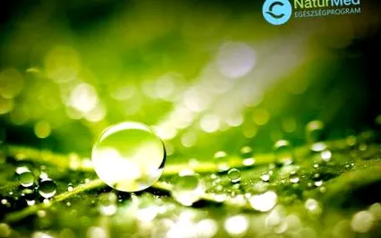 програма naturmed