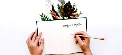 крок журнал