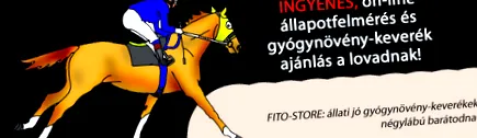 пъти дневно лечение