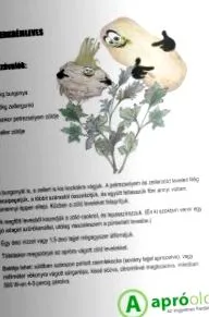 животни животни
