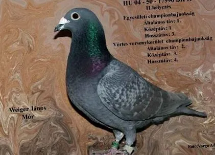 національний харківських