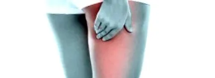 mucoaselor asemenea