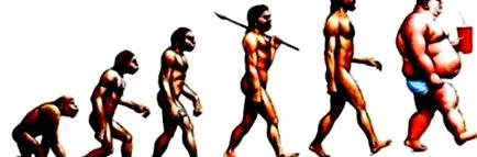 paleo bolilor civilizației