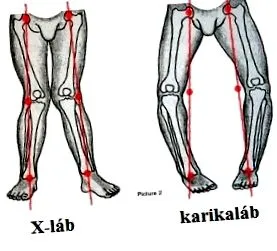 квалификационни инструменти
