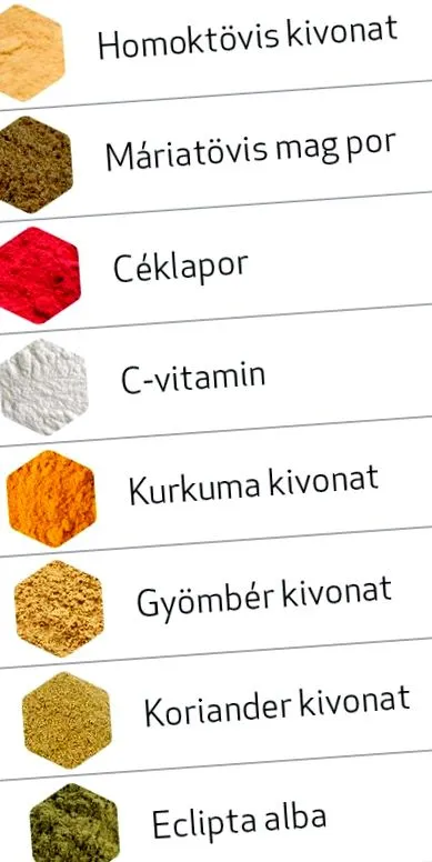 pharmacoidea