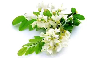 чаєм рефлюксним
