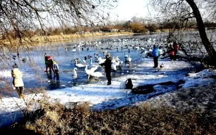 чрез хранене