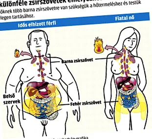 затлъстяването помогне