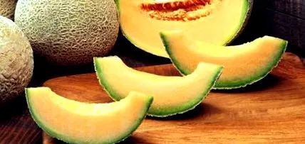 білки білки