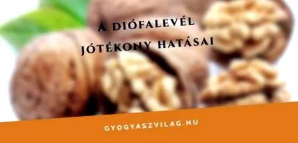 здоров здоров