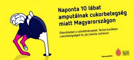 vede strutului