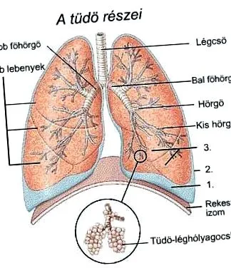 оток тежест
