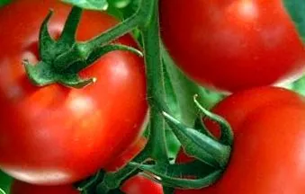 внимавайте съчувствие