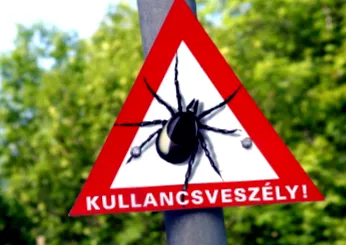 кърлеж съчувствие