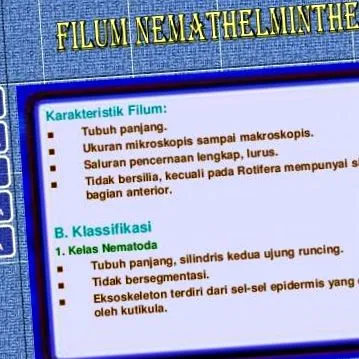 klassifikasi яйце
