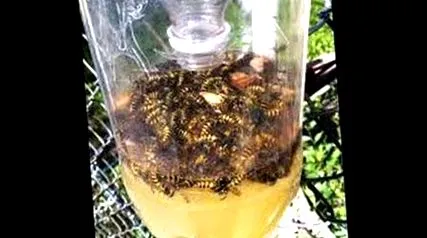 саморобна саморобна