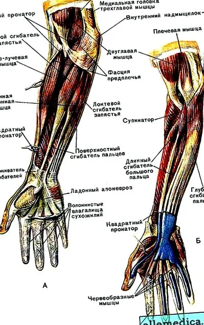 колін хвороби