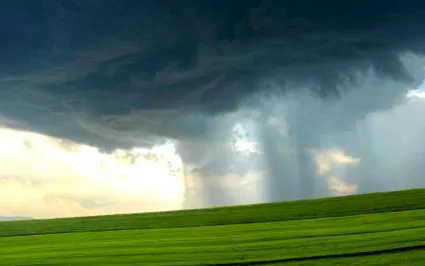 observat meteorologii