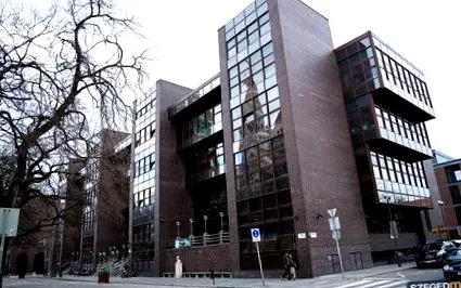 колір підліткове