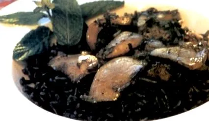 gastroabc калмари