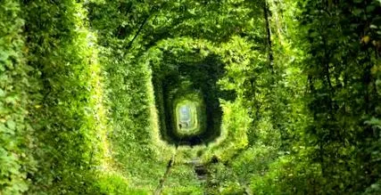tunelul