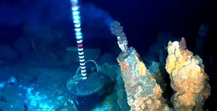 рідкісними морські
