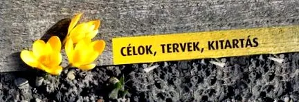 вашето семейство живота