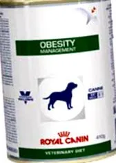 obesity obesity
