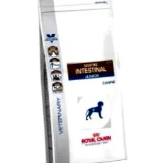 gastro canin