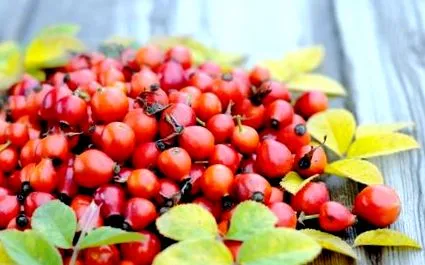 proteja